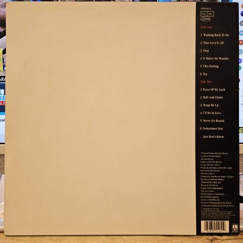 Sam Brown – Stop LP PLAK