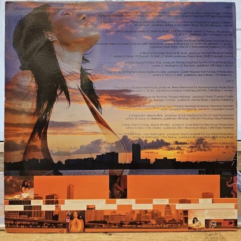 Various – Reggae Gold 2000 LP PLAK