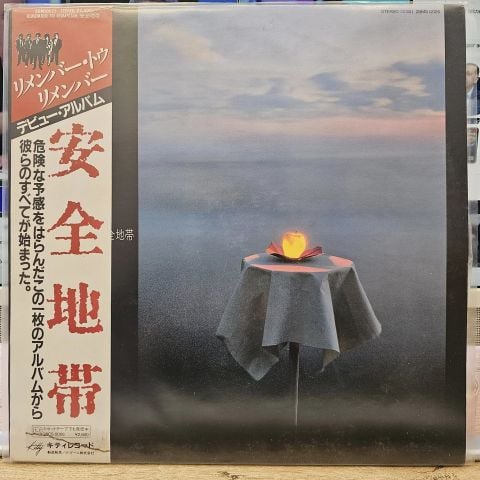 Remember To Remember LP PLAK