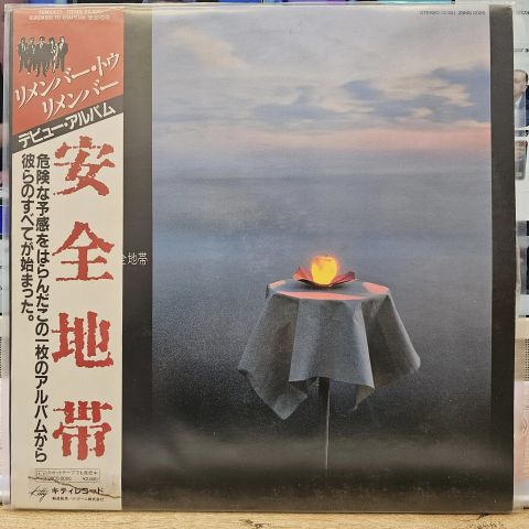 Remember To Remember LP PLAK