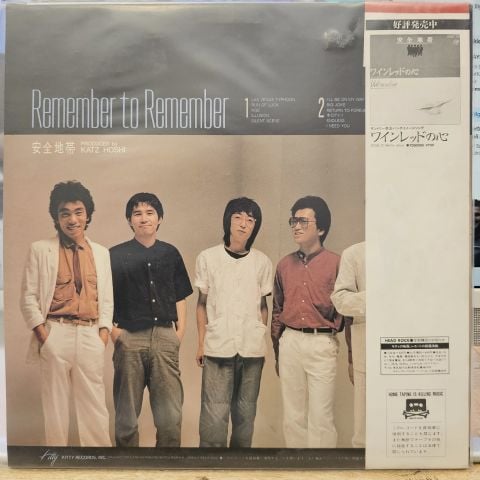 Remember To Remember LP PLAK