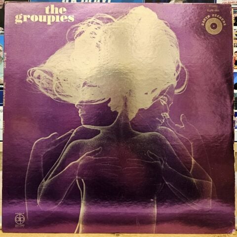 Unknown Artist – The Groupies LP PLAK