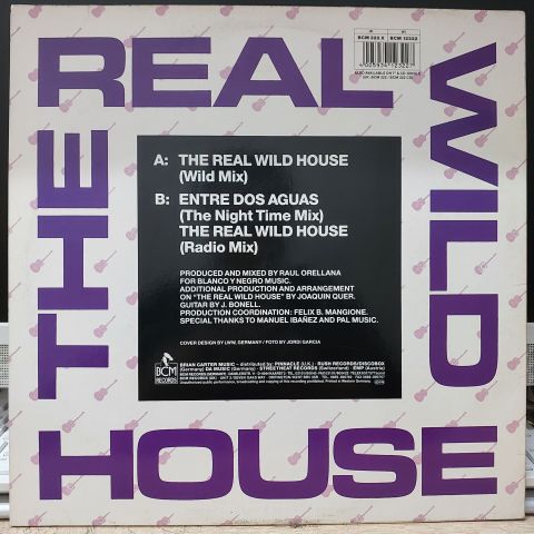 Raul Orellana – The Real Wild House LP PLAK