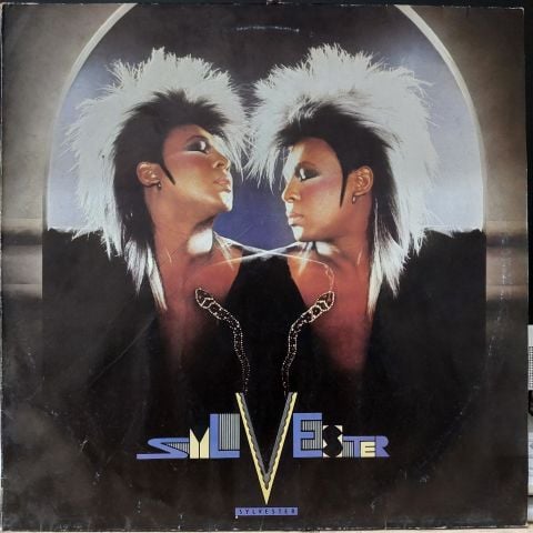 Sylvester – Someone Like You LP PLAK