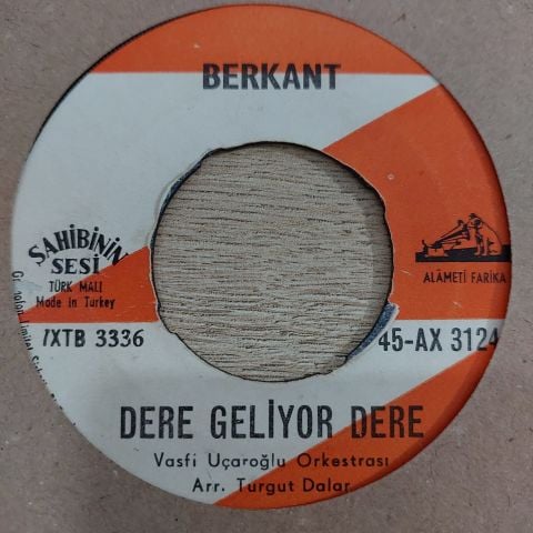 BERKANT - DERE GELİYOR DERE 45LİK PLAK