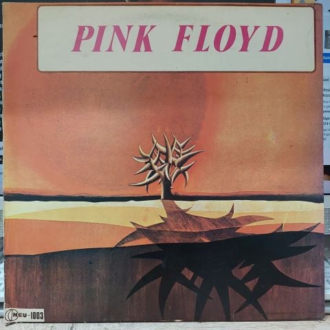 Pink Floyd – The Piper At The Gates Of Dawn LP PLAK