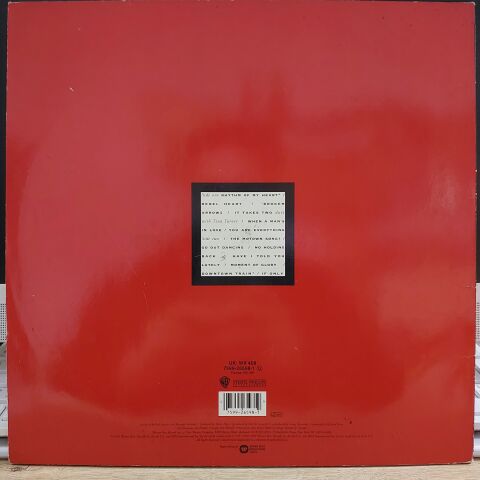 Rod Stewart – Vagabond Heart LP PLAK