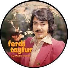 FERDİ TAYFUR - BAHARIMSIN KIŞIMSIN LP PLAK