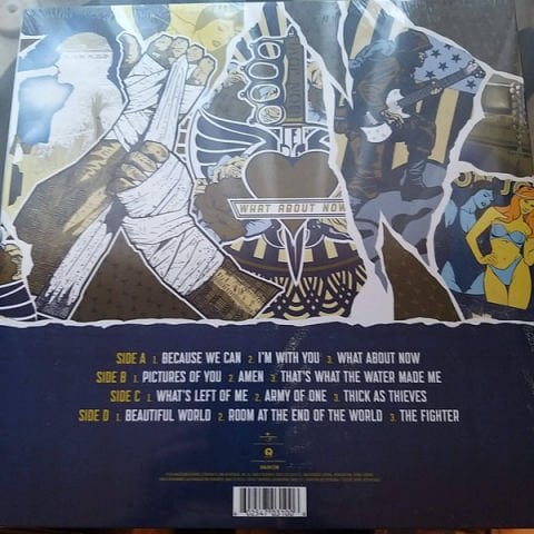 Bon Jovi – What About Now LP PLAK