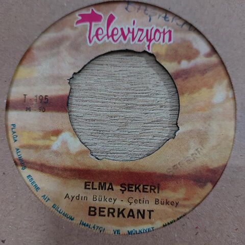 BERKANT - BÜLBÜL YUVASI 45LİK PLAK