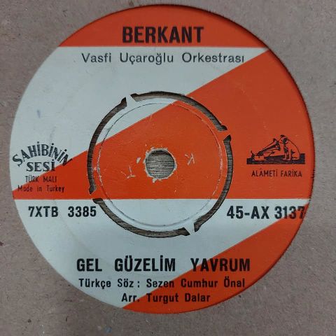 BERKANT - DOĞUM GÜNÜN KUTLU OLSUN 45LİK PLAK