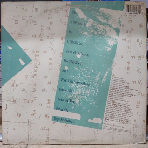 Alison Moyet – Raindancing LP PLAK