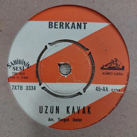 BERKANT - UZUN KAVAK 45LİK PLAK