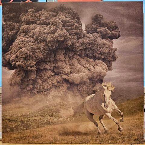The White Buffalo – Year Of The Dark Horse LP PLAK