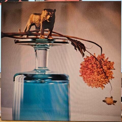 Beirut – Gallipoli LP PLAK