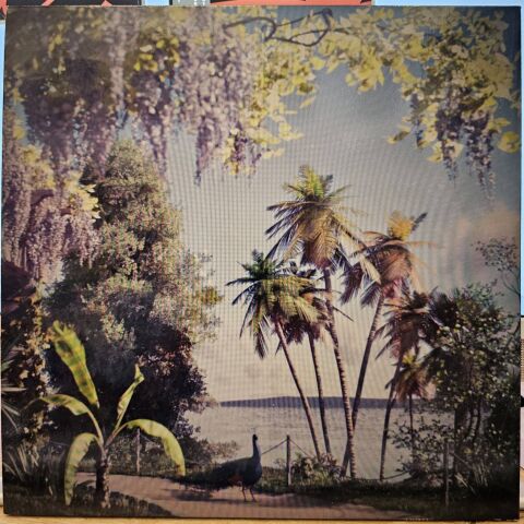 Beirut – Gallipoli LP PLAK