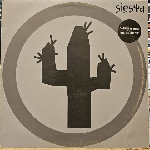 Onionz & Tony – The Feeling Soul E.P. LP PLAK