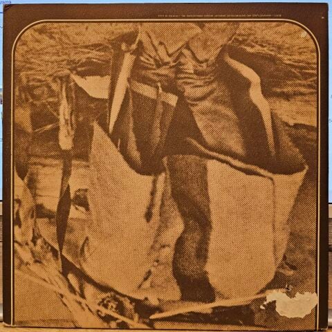 Iain Matthews - Tigers Will Survive album cover More images LP PLAK