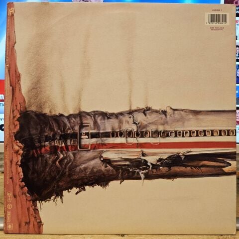 Beastie Boys – Licensed To Ill LP PLAK