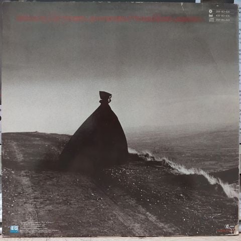 Gary Moore – Wild Frontier LP PLAK