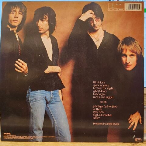 Patti Smith Group – Easter LP PLAK