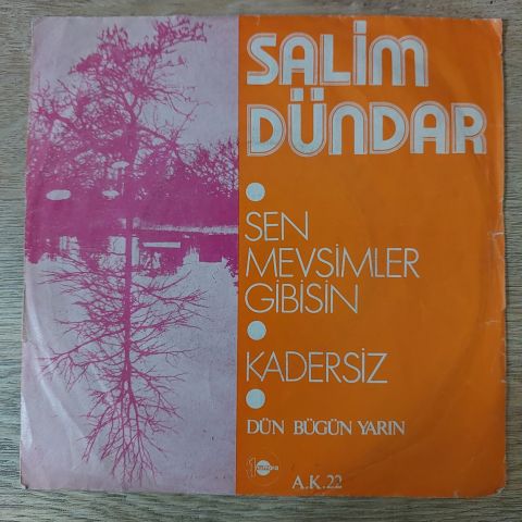Salim Dündar – Sen Mevsimler Gibisin / Kadersiz 45LİK PLAK