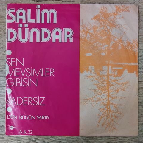 Salim Dündar – Sen Mevsimler Gibisin / Kadersiz 45LİK PLAK