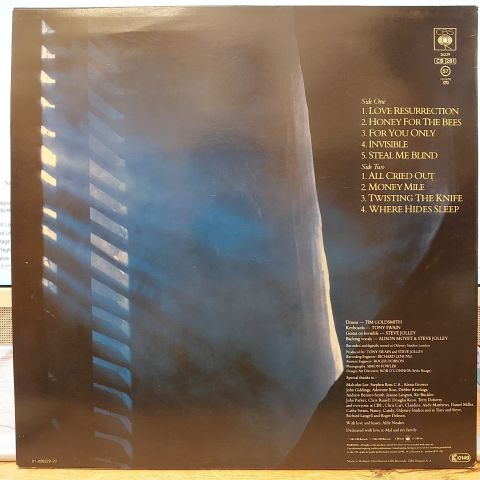 Alison Moyet – Alf LP PLAK