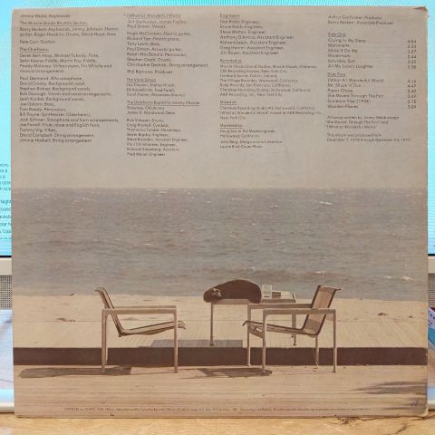 Art Garfunkel – Watermark LP PLAK