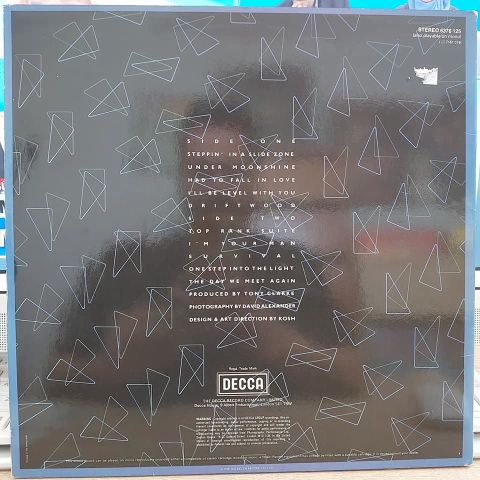 The Moody Blues – Octave LP PLAK