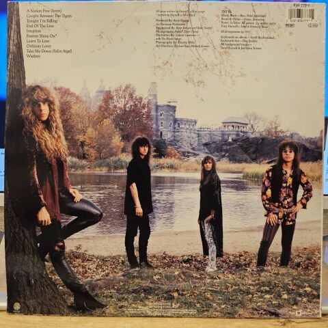 TNT – Intuition LP PLAK