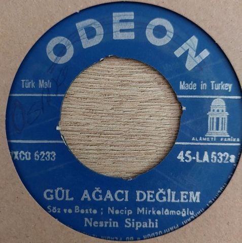 Nesrin Sipahi – Gül Ağacı Değilem / Süreyya 45LİK PLAK