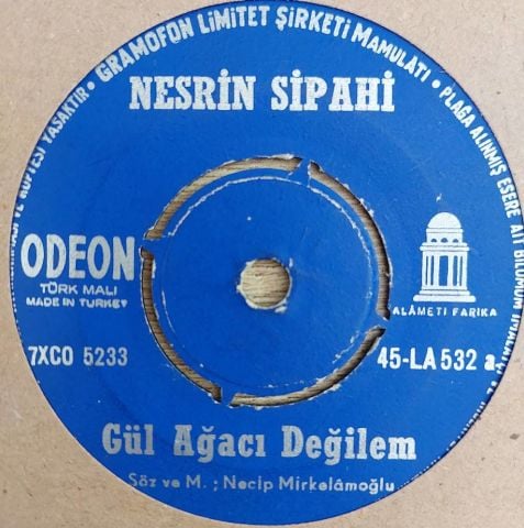 Nesrin Sipahi – Gül Ağacı Değilem / Süreyya 45LİK PLAK