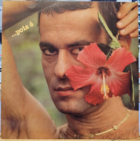 Ney Matogrosso – ...Pois É LP PLAK