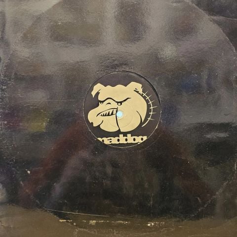 Porn Kings – Up To No Good LP PLAK