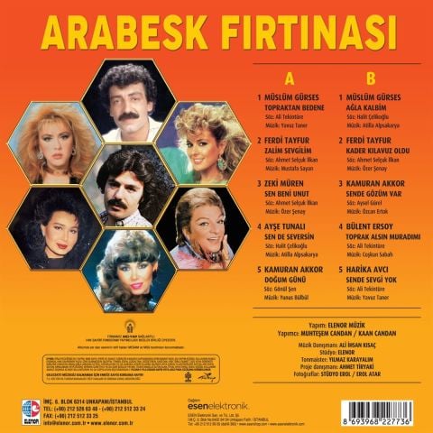 ARABESK FIRTINASI LP PLAK