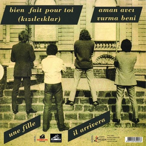 Barış Manço, Les Mistigris - Kızılcıklar Oldu mu  LP PLAK