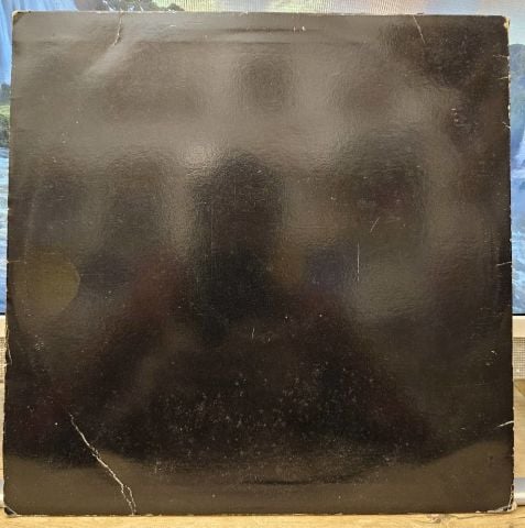 Brooklyn Funk Essentials – Big Apple Boogaloo / The Revolution Was Postponed Because Of Rain LP PLAK