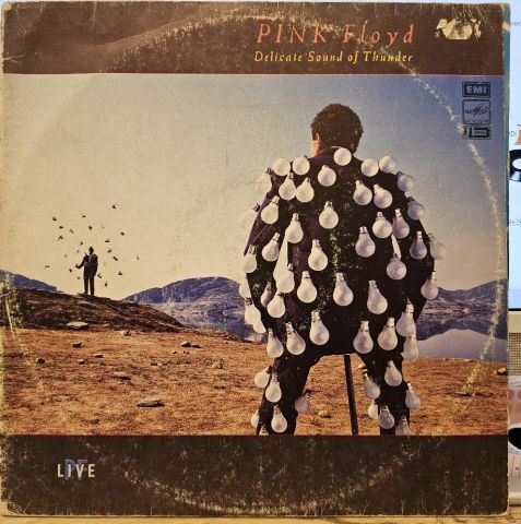 Pink Floyd – Delicate Sound Of Thunder LP PLAK