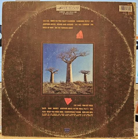 Pink Floyd – Delicate Sound Of Thunder LP PLAK