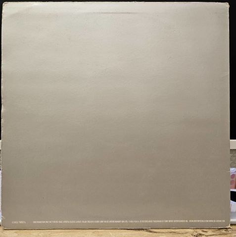 Destiny's Child – Survivor (Album Sampler) LP PLAK