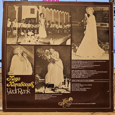 Neşe Karaböcek – Yedi Renk LP PLAK