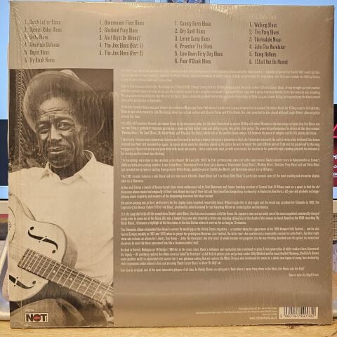 Son House – Raw Delta Blues LP PLAK