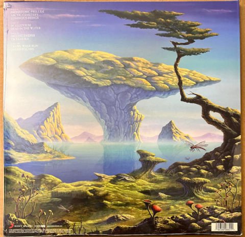 Charlie Griffiths – Tiktaalika LP PLAK