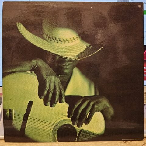 Various – American Festival Folk Blues LP PLAK