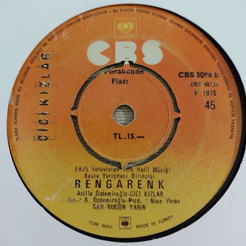 CİCİ KIZLAR DELİSİN 45LİK PLAK