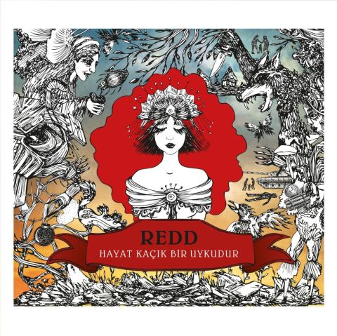 Redd - Hayat Kaçık Bir Uykudur LP PLAK