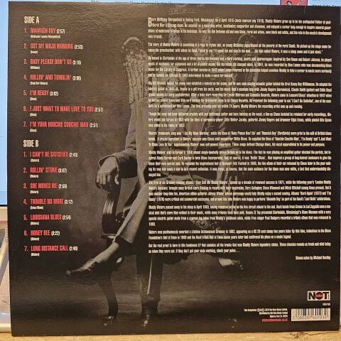 Muddy Waters – Original Blues Classics LP PLAK