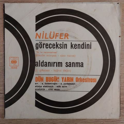 Nilüfer – Göreceksin Kendini / Aldanırım Sanma 45LİK PLAK