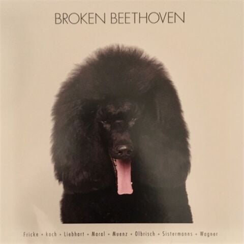 BROKEN BEETHOVEN LP PLAK